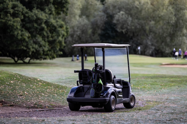 1h00 de visite guidée du parcours en voiturette électrique, suivie d'un cocktail