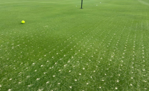 L&rsquo;aération des greens : un entretien essentiel pour préparer la saison - Open Golf Club